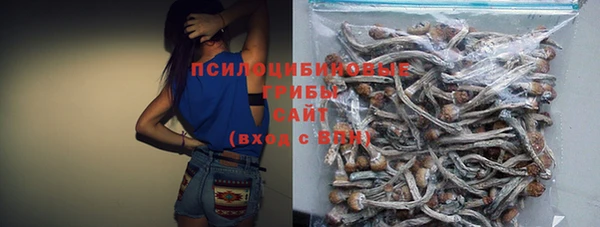 ALPHA PVP Алзамай