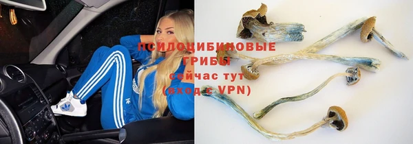 ALPHA PVP Алзамай