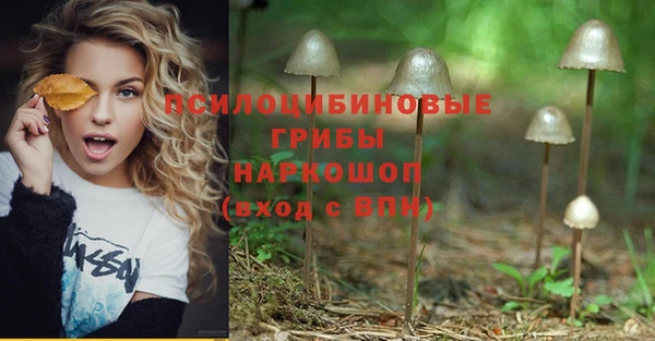 ECSTASY Алексин
