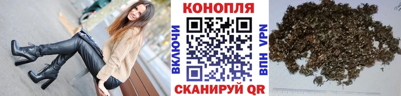 KRAKEN ТОР  Алзамай  Конопля THC 21% 